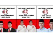 Google Trends Ungkap Lonjakan Minat Warga Kaltim terhadap Aulia Rahman Basri